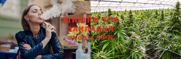 хмурый Богородицк